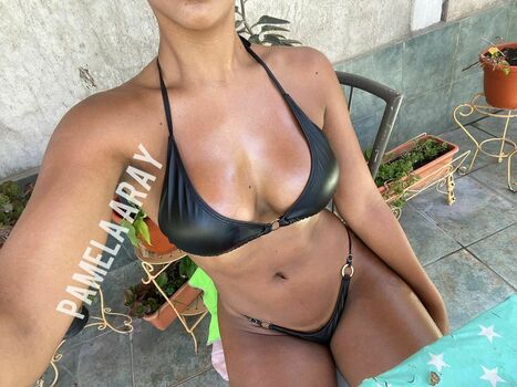 Pamela Aray
