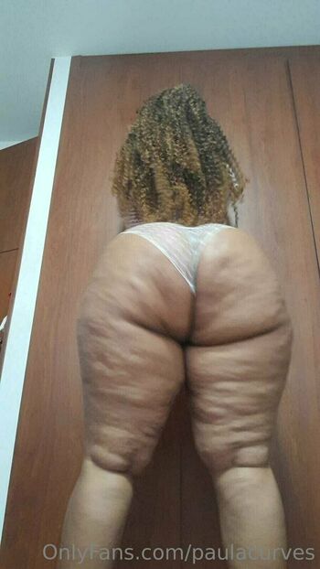 paulacurves