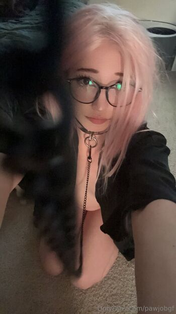 pawjobgf