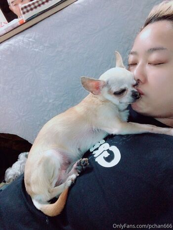 Pchan 666