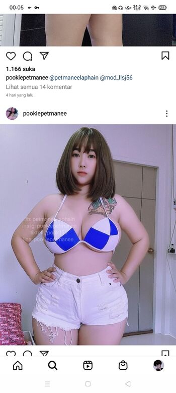 Petmanee Pook