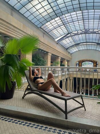 petra_dma