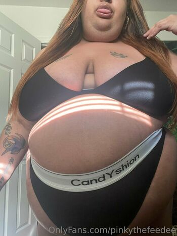 pinkythefeedee