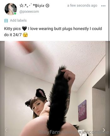 pixieecomfree