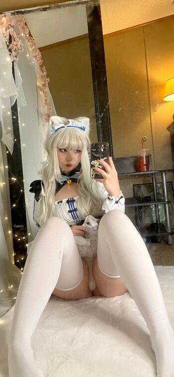 Pockycats