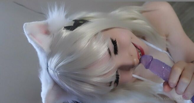 Pockycats