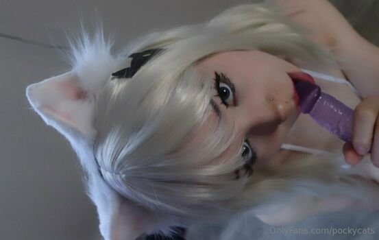 Pockycats