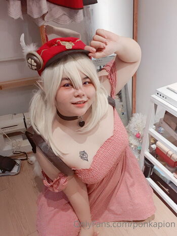 ponkapion