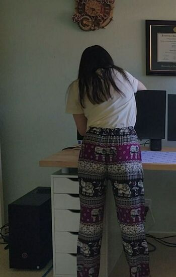 PotasticPanda