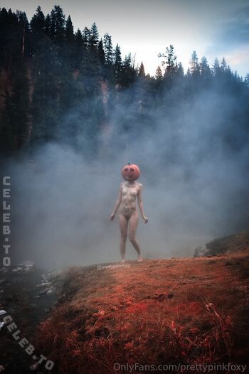 Prettypinkfoxy