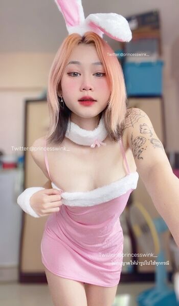 Princesswinkonly