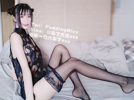 Puddingnice