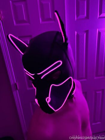 pup_haze