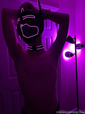 pup_haze