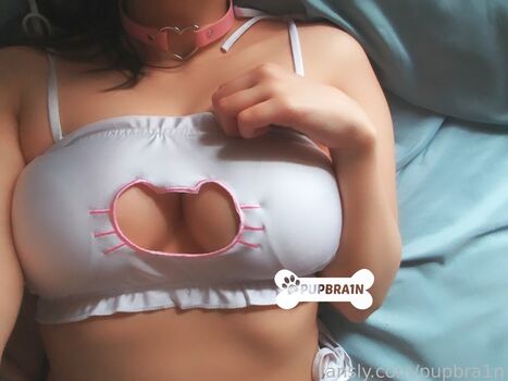 pupbra1n