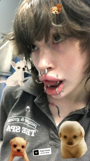 puppy_xox