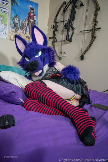 purplehuskymurr