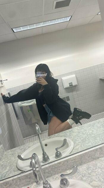 Pwppygf