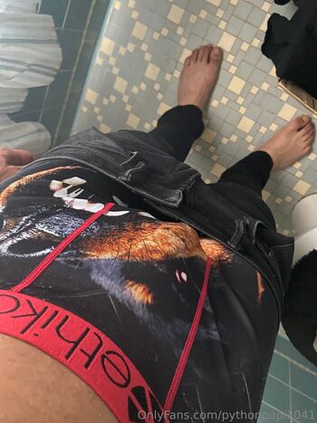 pythonpapi1041