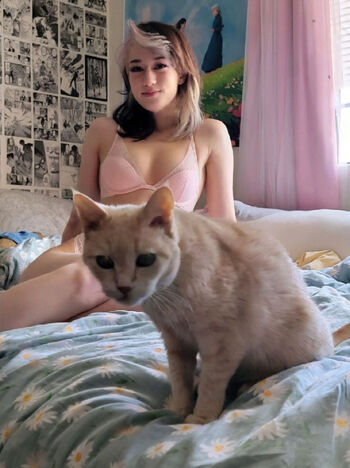 QueenTofu