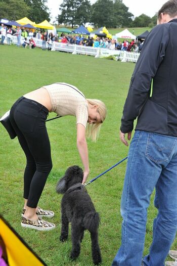 Rachel Riley