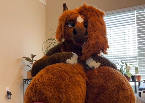 rain_horsie