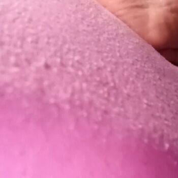 Raposinha Feet