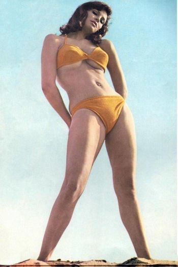 Raquel Welch