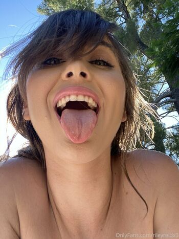 rileyreidx3