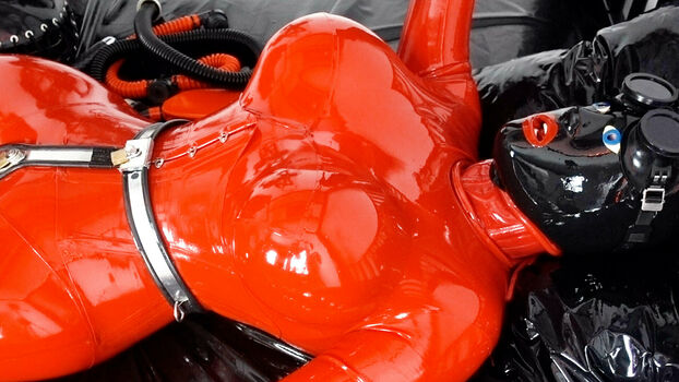 rubberdollemma