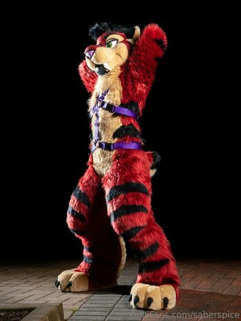 saberspice