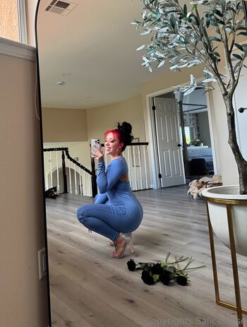 salicerose
