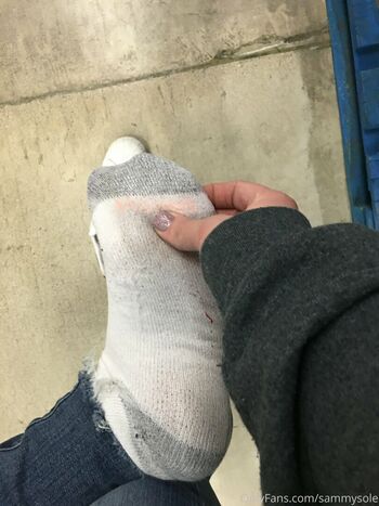 sammysole