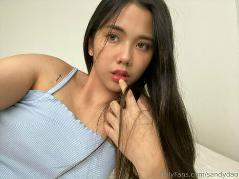 sandydao
