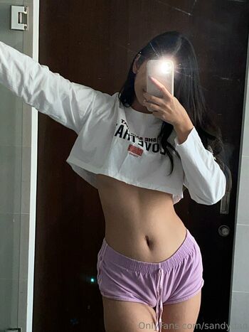 sandydao
