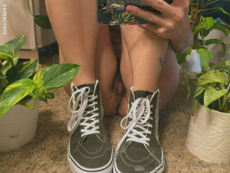 sapphicaat
