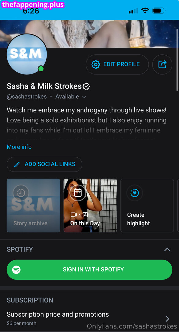 sashastrokes