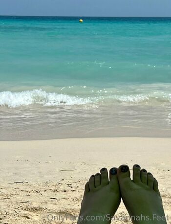 savannahs.feet