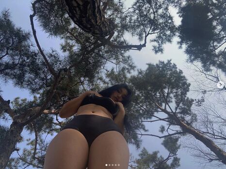 sc.pion_