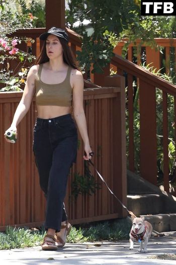 Scout Willis