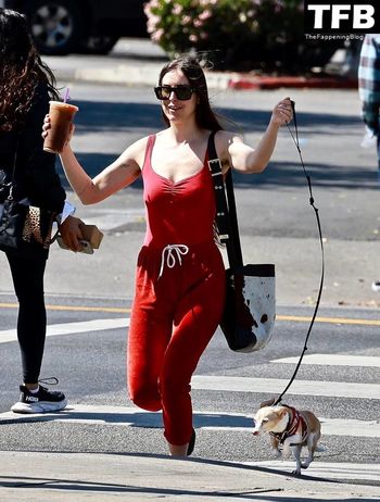Scout Willis