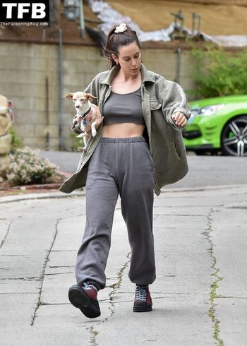 Scout Willis