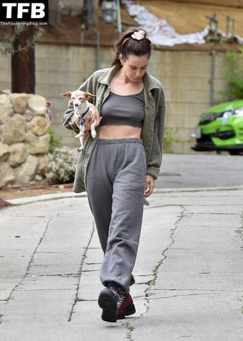 Scout Willis