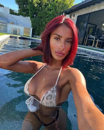 shahafaharoni
