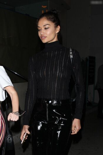 Shanina Shaik
