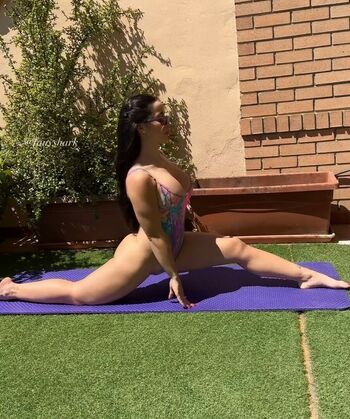 Sharkfitness