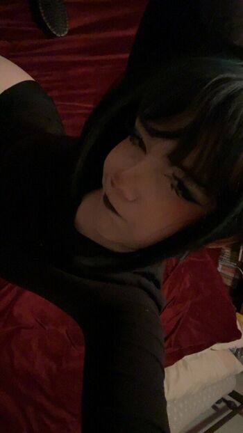 shelbypng