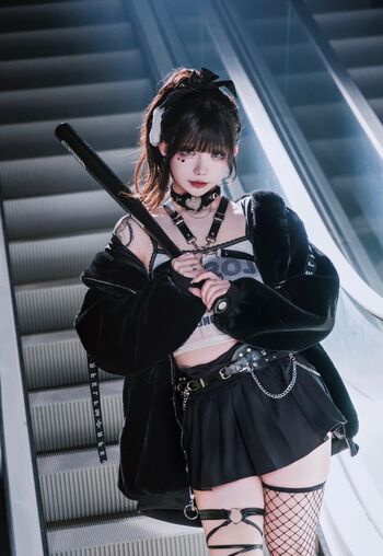 shiliuyelei
