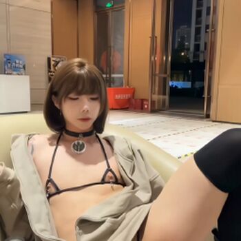 shiliuyelei