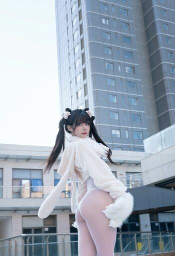 shiliuyelei